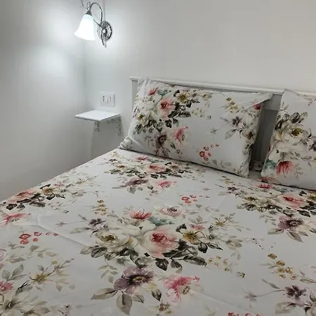 Noemi House & Novara