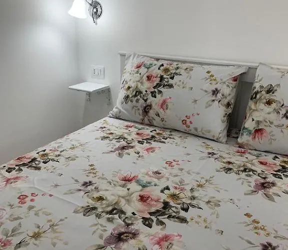 Noemi House & Novara